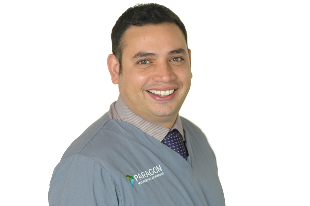 World-first Cardiology Clinical Audit Hailed As A Success By Renowned Specialist