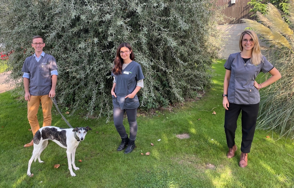 3D Vision For NDSR's Industry-leading Ophthalmology Service