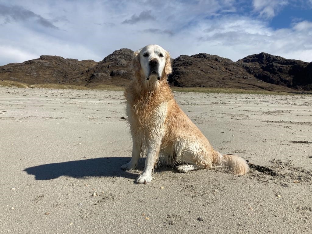 VSS Achieves Goal By Removing Football-sized Tumour