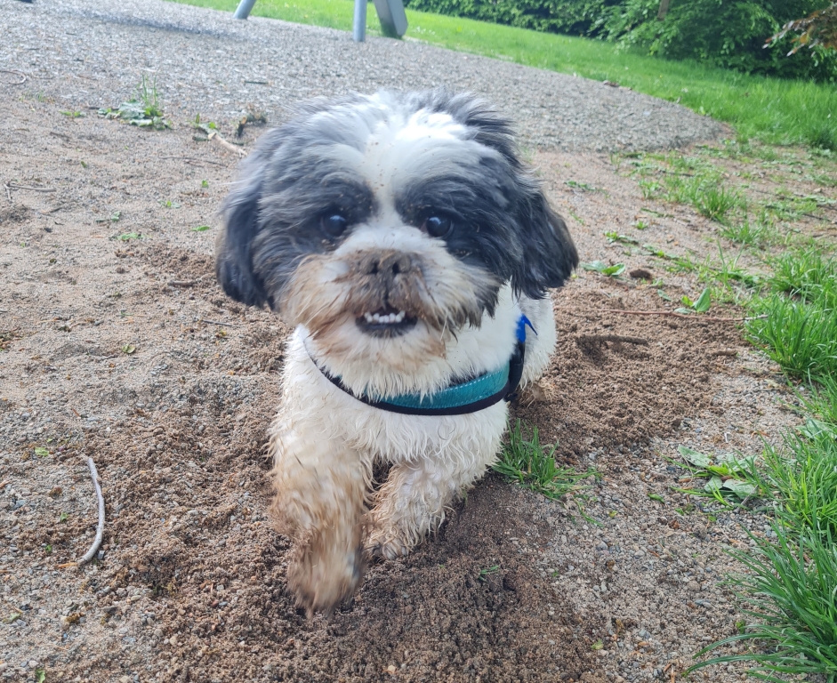 Cheeky Young Alan Is A Vision Of Success