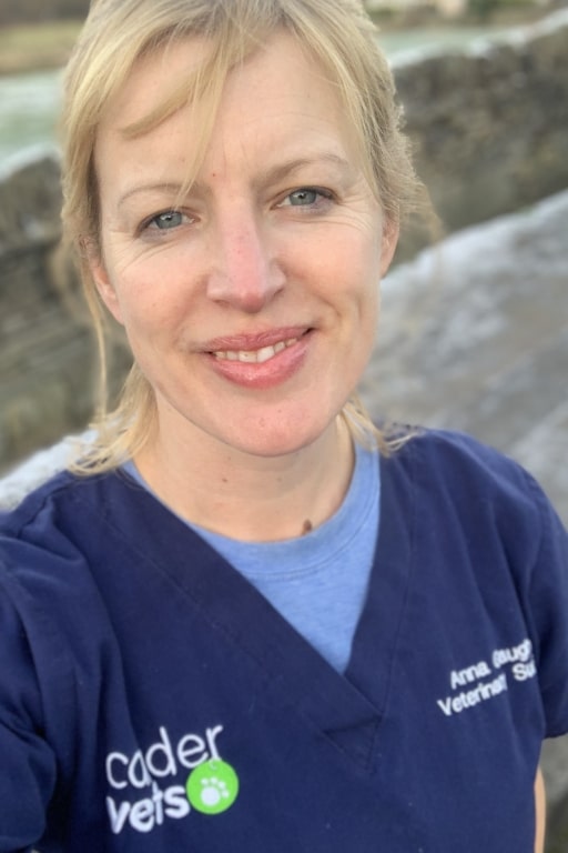 Home Is Where The Heart Is As Anna Takes Top Calder Role