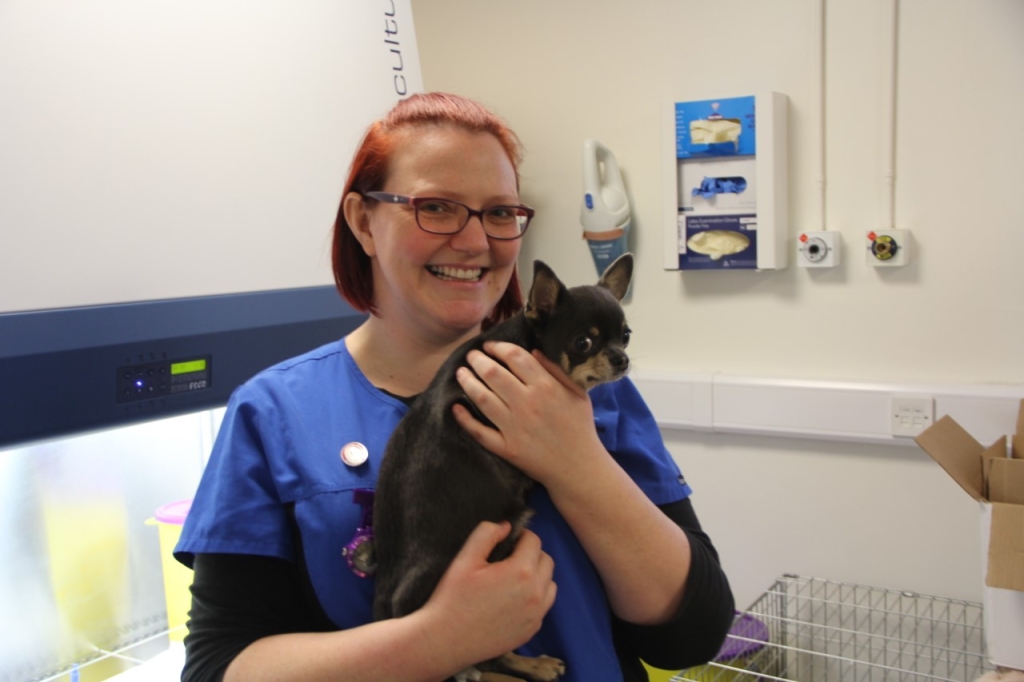 Vet Nurse's Determination To Learn Places Her Among World Elite