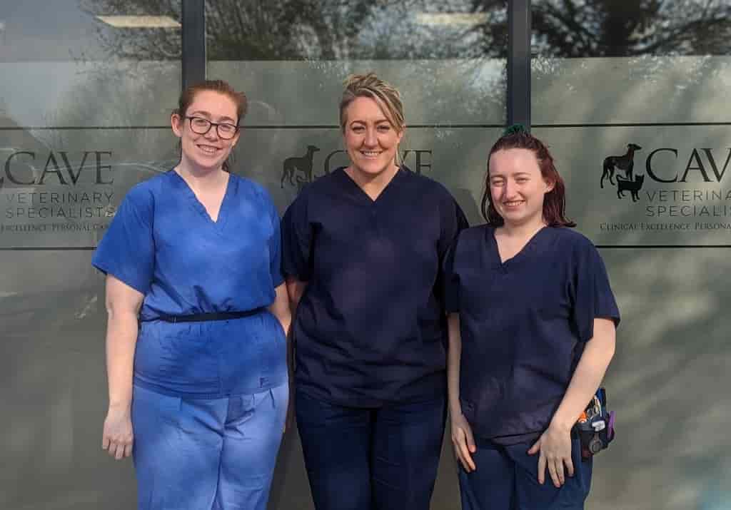 Somerset Vets Recruit More Nurses To Expert Team