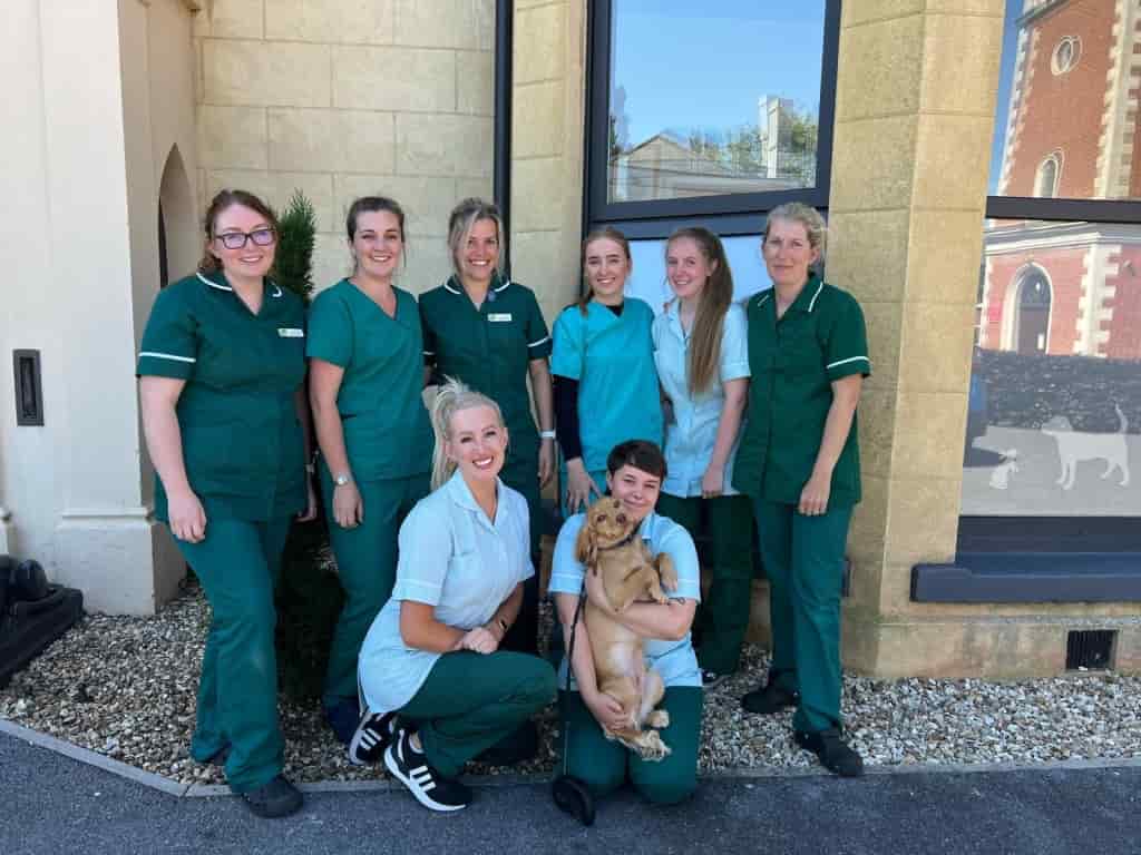 Open Day Fun At Exeter Vet Practice