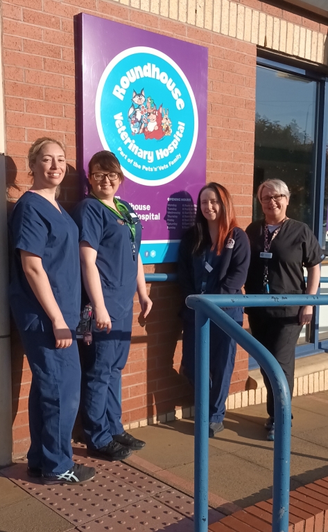 Pets'n'Vets Implements Innovative New Nursing Structure