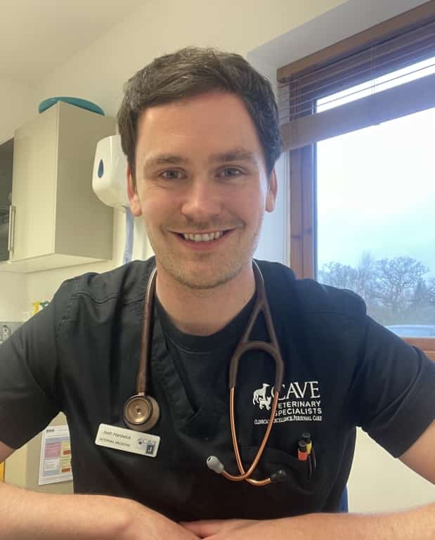 Somerset Animal Hospital Celebrates Exam Success