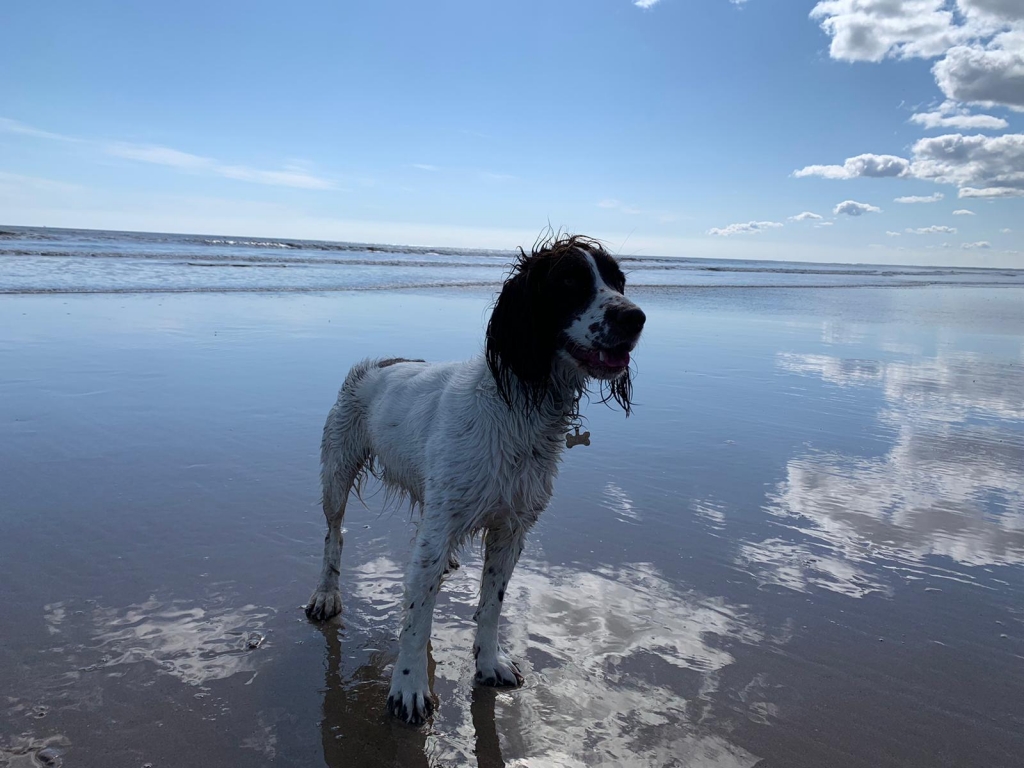 Willows Ensures Alby's All Good After Serious Chest Wound