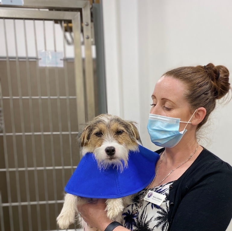 Regional Nursing Manager Appointed By Village Vet