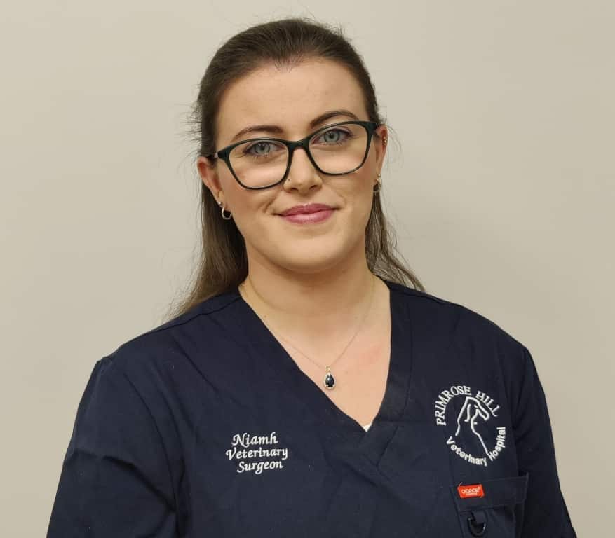 Primrose Hill Appointment The 'eye-deal' Opportunity For Niamh