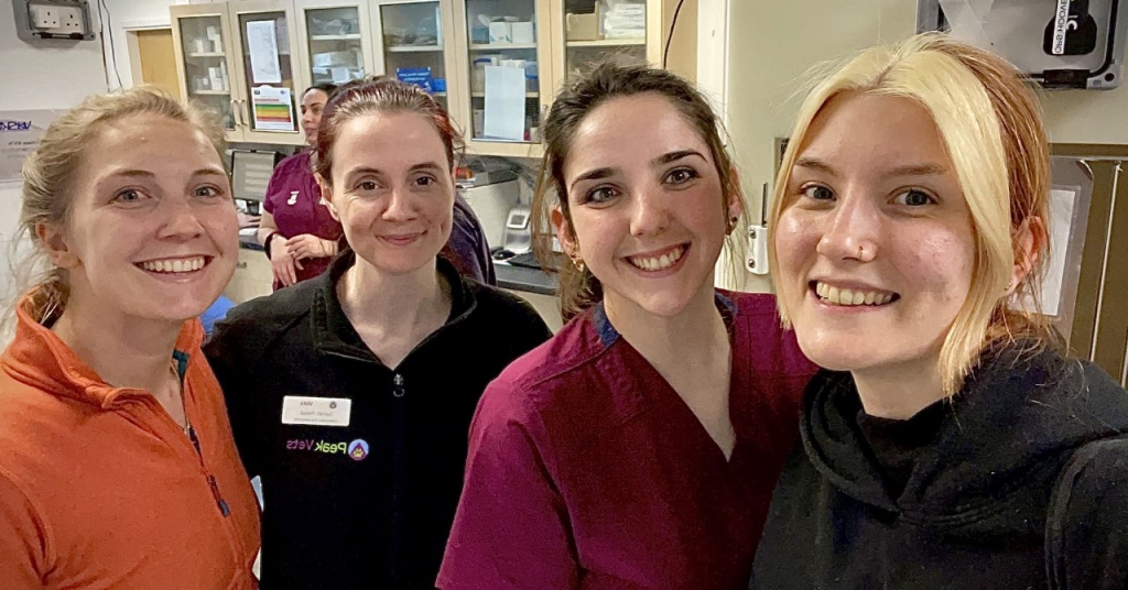 Peak Vets' Environmental Work Recognised With Bronze Award