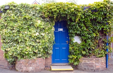 608 Vet Practice Acocks Green Gallery Image 1