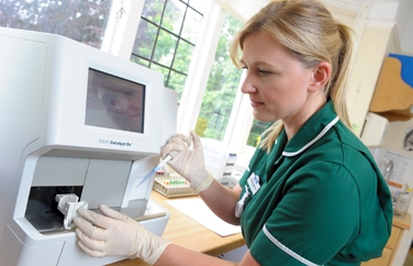 608 Vet Practice Solihull Gallery Image 3