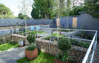 Wilbury Vets Gallery Image 2