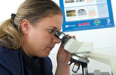 AAS Veterinary Services Abbeydale Gallery Image 3