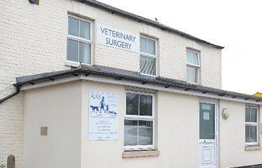 AAS Veterinary Services Quedgeley Gallery Image 1