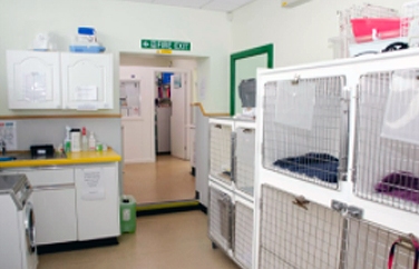 Abbey House Veterinary Hospital Kippax Gallery Image 3