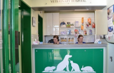 Abbey House Veterinary Hospital Rothwell Gallery Image 2