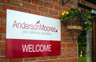 Anderson Moores Vet Specialists Gallery Image 1