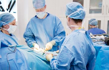 Anderson Moores Vet Specialists Gallery Image 2