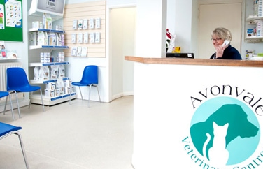 Avonvale Veterinary Centres Cubbington Gallery Image 2
