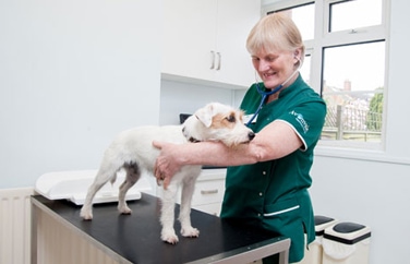 Avonvale Veterinary Centres Cubbington Gallery Image 3