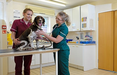 Avonvale Veterinary Centres Heathcote Gallery Image 2