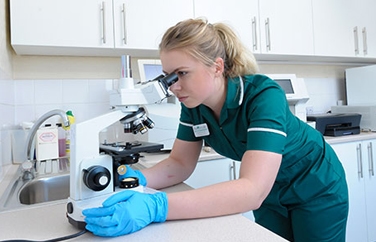 Avonvale Veterinary Centres Heathcote Gallery Image 3