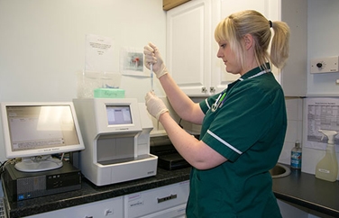 Avonvale Veterinary Centres Southam Gallery Image 2