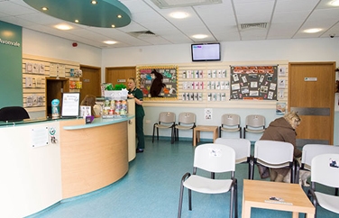 Avonvale Veterinary Centres Southam Gallery Image 3