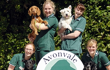 Avonvale Veterinary Centres Stratford Gallery Image 2