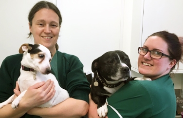 Blacks Vets Sedgley Gallery Image 3