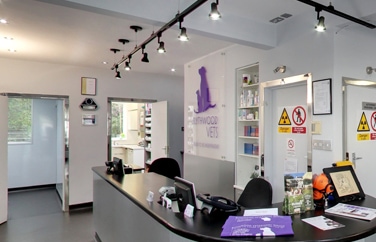 Blythwood Vets Hatch End Gallery Image 2