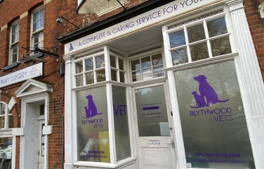 Blythwood Vets Stanmore Gallery Image 1