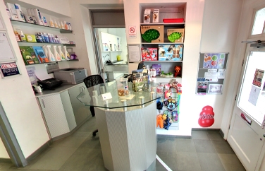 Blythwood Vets Stanmore Gallery Image 3