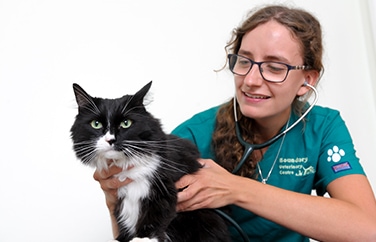 Boundary Veterinary Centre Gallery Image 2