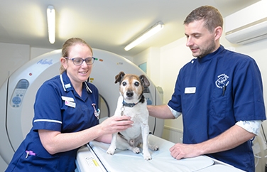 Brentknoll Veterinary Centre Gallery Image 3