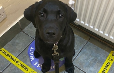 Broadway Veterinary Surgery Heswall Gallery Image 3