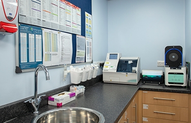 Calder Vets Denby Dale Gallery Image 2