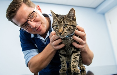 Abbey House Veterinary Hospital Halton Gallery Image 1