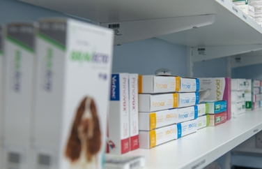 Calder Vets Horbury Gallery Image 3