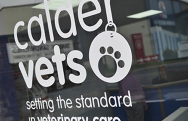 Calder Vets Lockwood Gallery Image 1