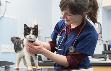 Calder Vets Penistone Gallery Image 2