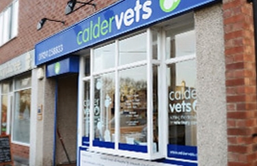 Calder Vets Sandal Gallery Image 1