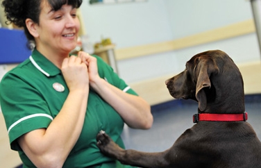 Calder Vets Waterloo Gallery Image 2