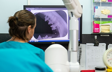 Calder Vets Waterloo Gallery Image 3