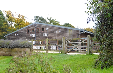 Cave Veterinary Specialists Gallery Image 1