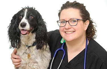 Cave Veterinary Specialists Gallery Image 2