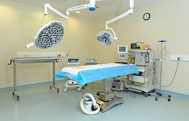 Cave Veterinary Specialists Gallery Image 3