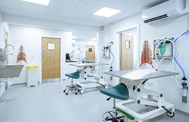 Chapel House Veterinary Practice Chesterfield Gallery Image 2