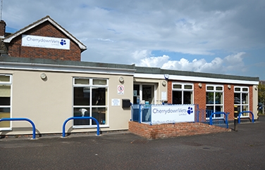 Cherrydown Vets Basildon Gallery Image 1